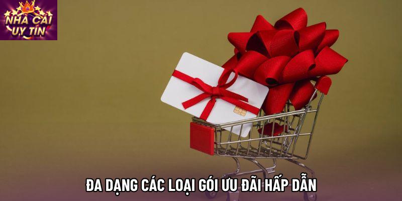 Đa dạng các loại gói ưu đãi hấp dẫn
