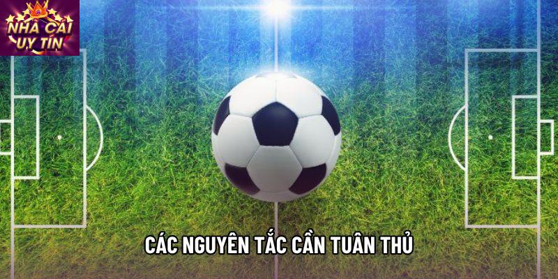 Các nguyên tắc cần tuân thủ