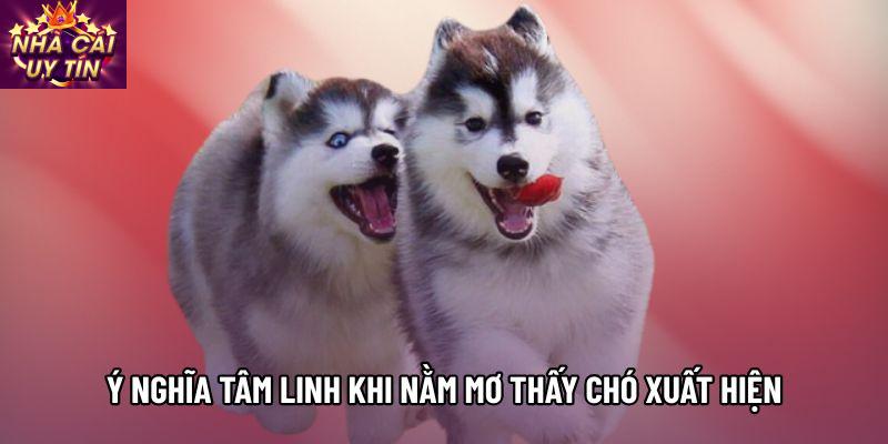 Ý nghĩa tâm linh khi nằm mơ thấy chó xuất hiện