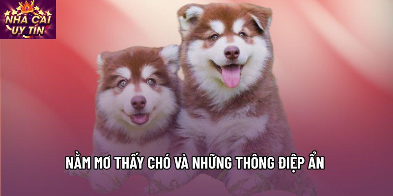 Nằm mơ thấy chó và những thông điệp ẩn 