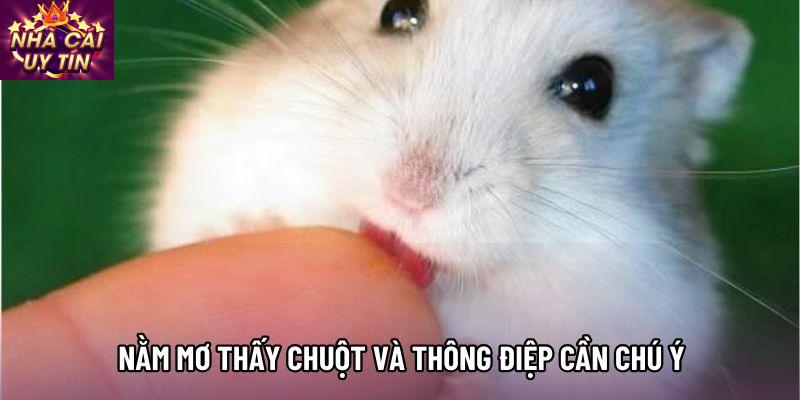 Nằm mơ thấy chuột và thông điệp cần chú ý