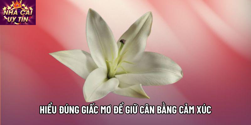 Hiểu đúng giấc mơ để giữ cân bằng cảm xúc Hiểu đúng giấc mơ để giữ cân bằng cảm xúc